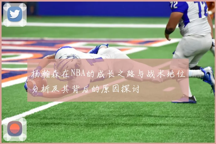 杨瀚森在NBA的成长之路与战术地位分析及其背后的原因探讨