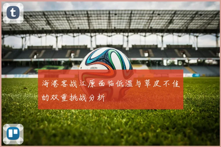 海港客战江原面临低温与草皮不佳的双重挑战分析